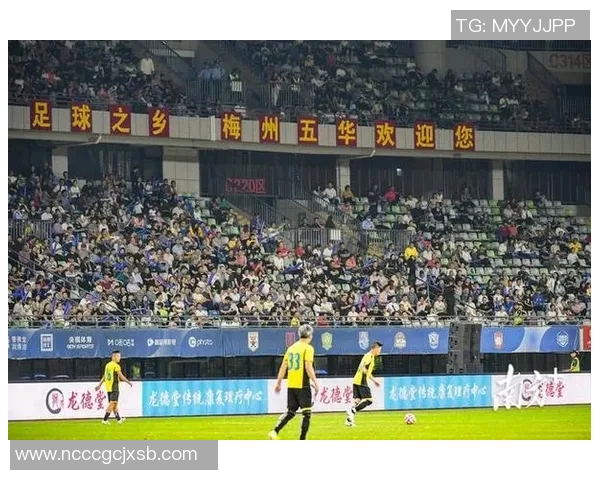 苏姓足球明星的辉煌成就与传奇故事探秘